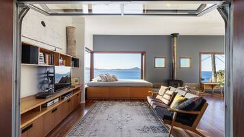 TV, fireplace, DVD player, books