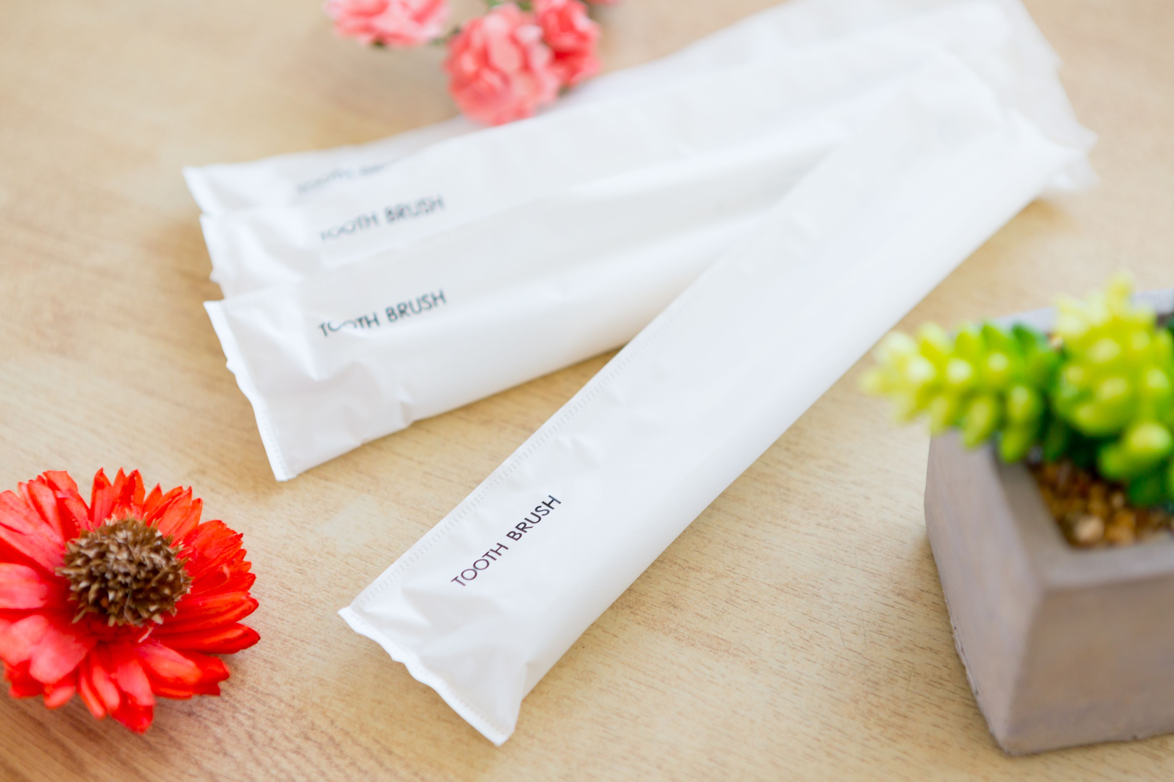 Tres paquetes blancos de cepillos de dientes etiquetados como "TOOTH BRUSH" sobre una superficie de madera, con una flor roja y una pequeña planta en maceta.