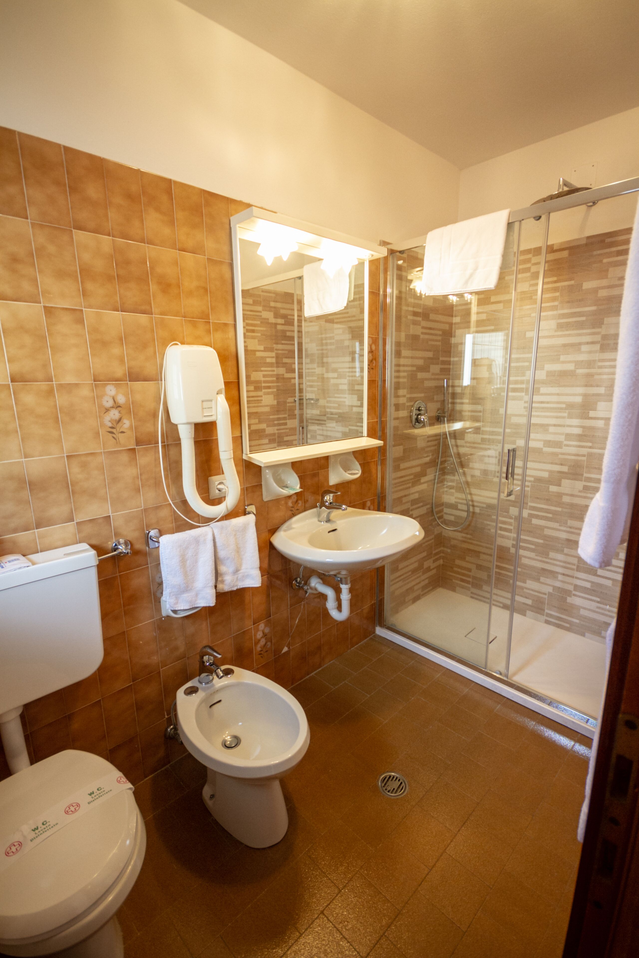 shower, bidet, towels