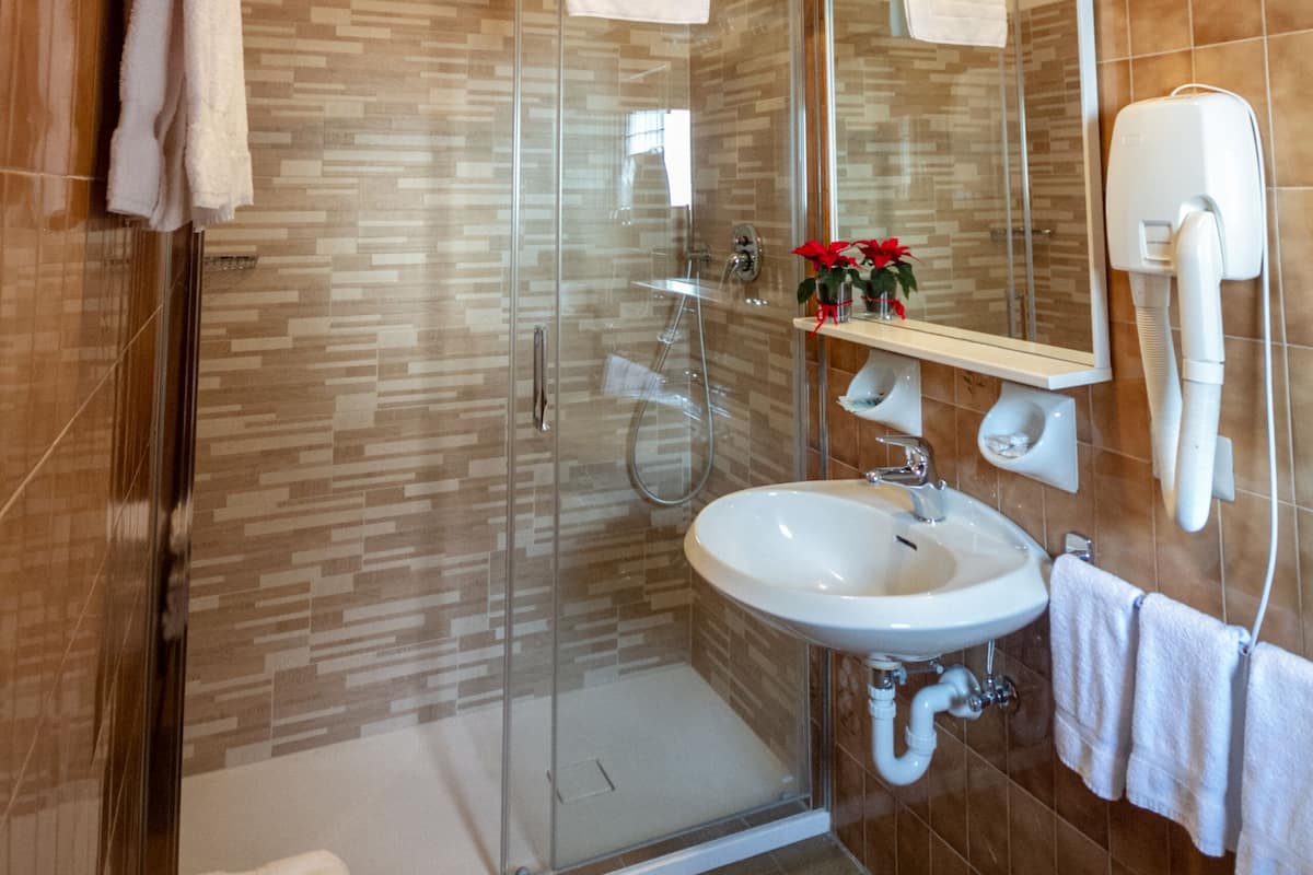 shower, bidet, towels