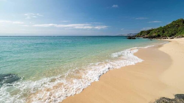 Une plage à l’eau turquoise et limpide, avec un rivage sablonneux et une colline boisée en arrière-plan.