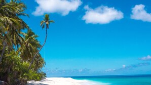 A beach with white sand, palm trees, and clear blue water under a bright sky.