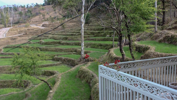 Land view from property - Pushpangan Menage (Palampur)