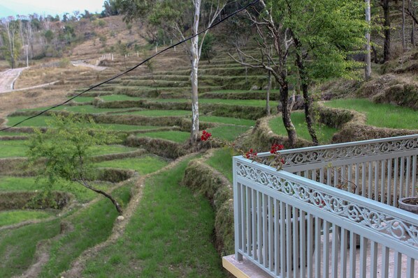 Land view from property - Pushpangan Menage (Palampur)