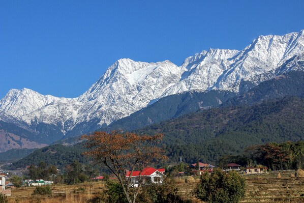 View from property - Pushpangan Menage (Palampur)