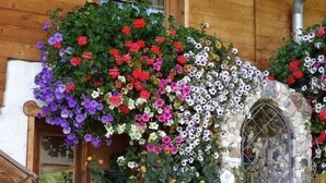 Garden - BADHAUS (Achenkirch)