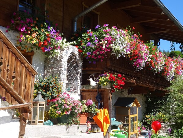 Vista frontal de la propiedad