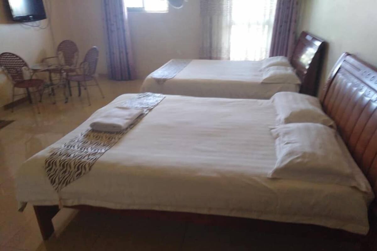 Premium bedding, desk, free WiFi, bed sheets