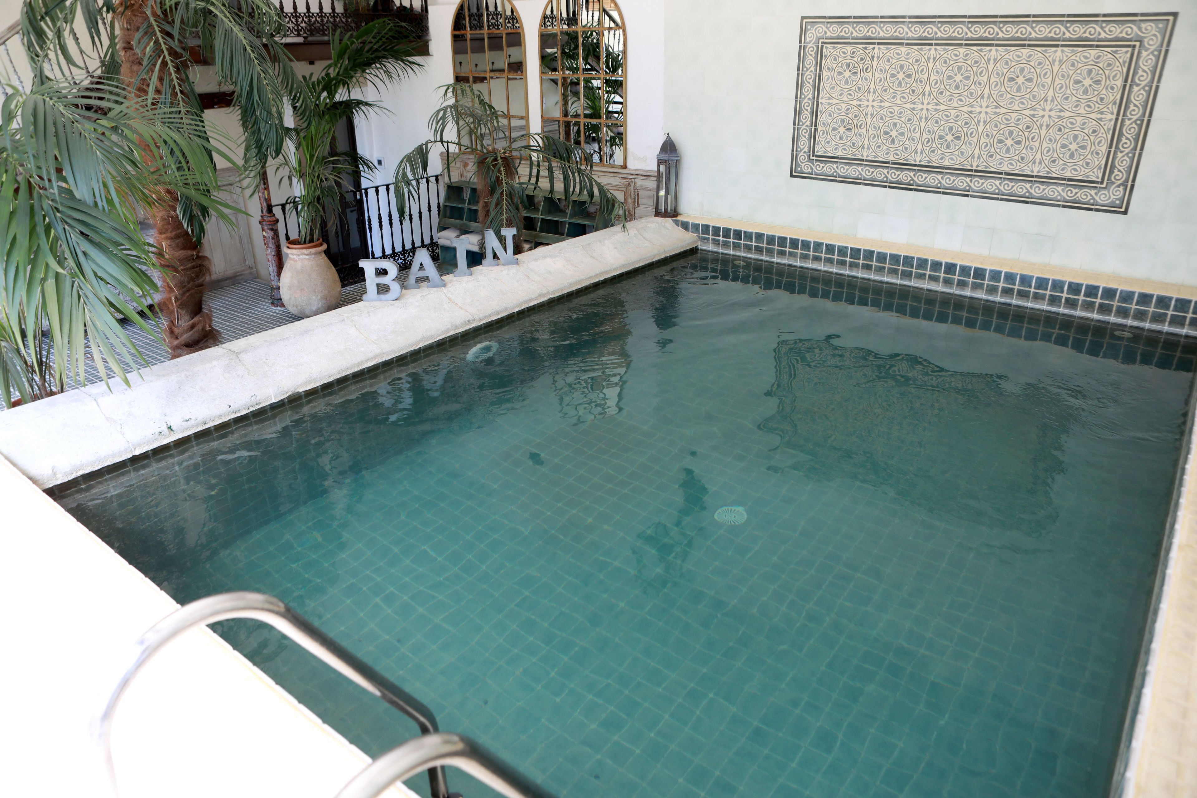 Una piscina con bordes de azulejos, rodeada de plantas en macetas y un muro decorativo.