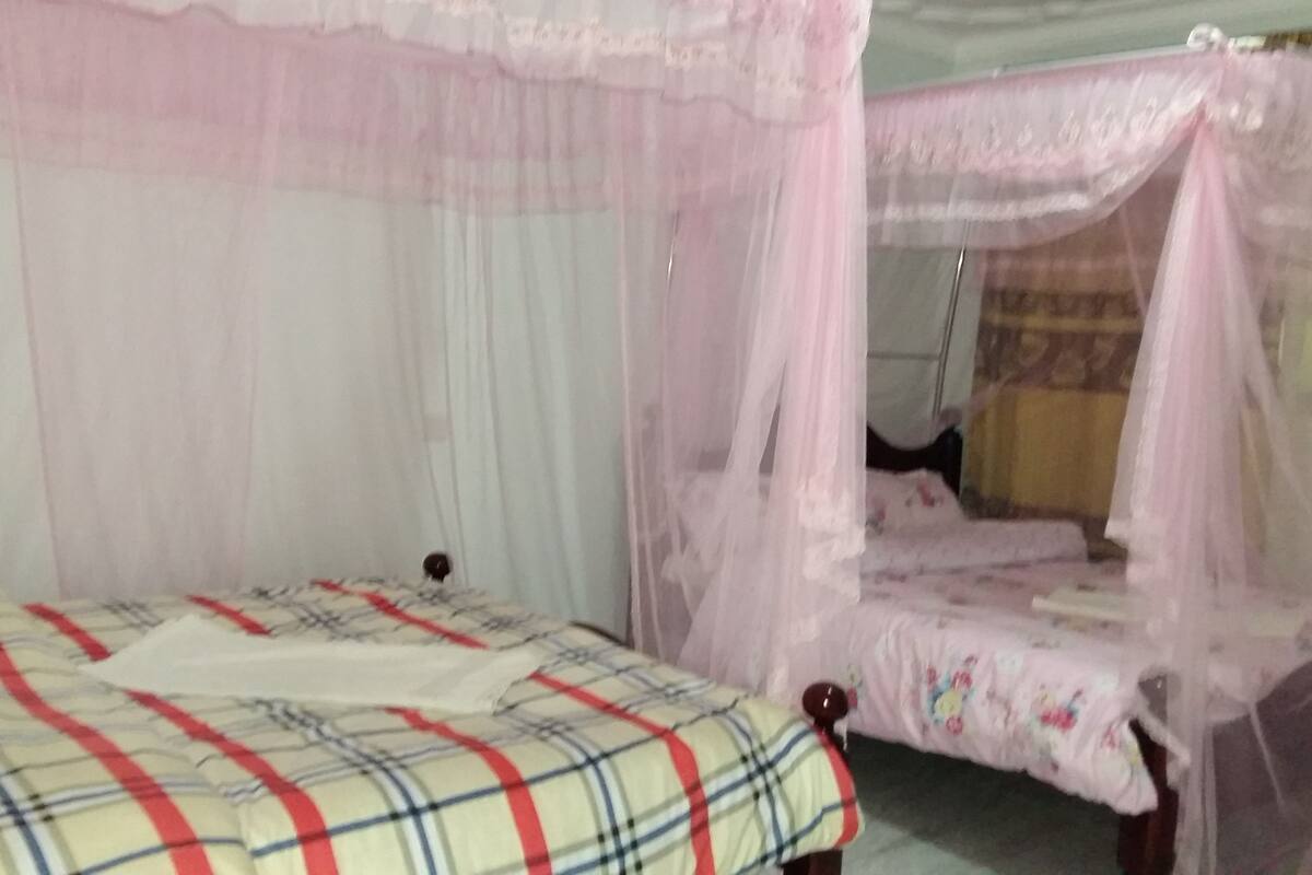 A room with a bed under a canopy, a bedside table, and a wall-mounted shelf.
