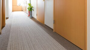 A hotel hallway with carpeted floors, wooden doors, and a potted plant. - Kansai Seaside Hotel (Kaizuka)