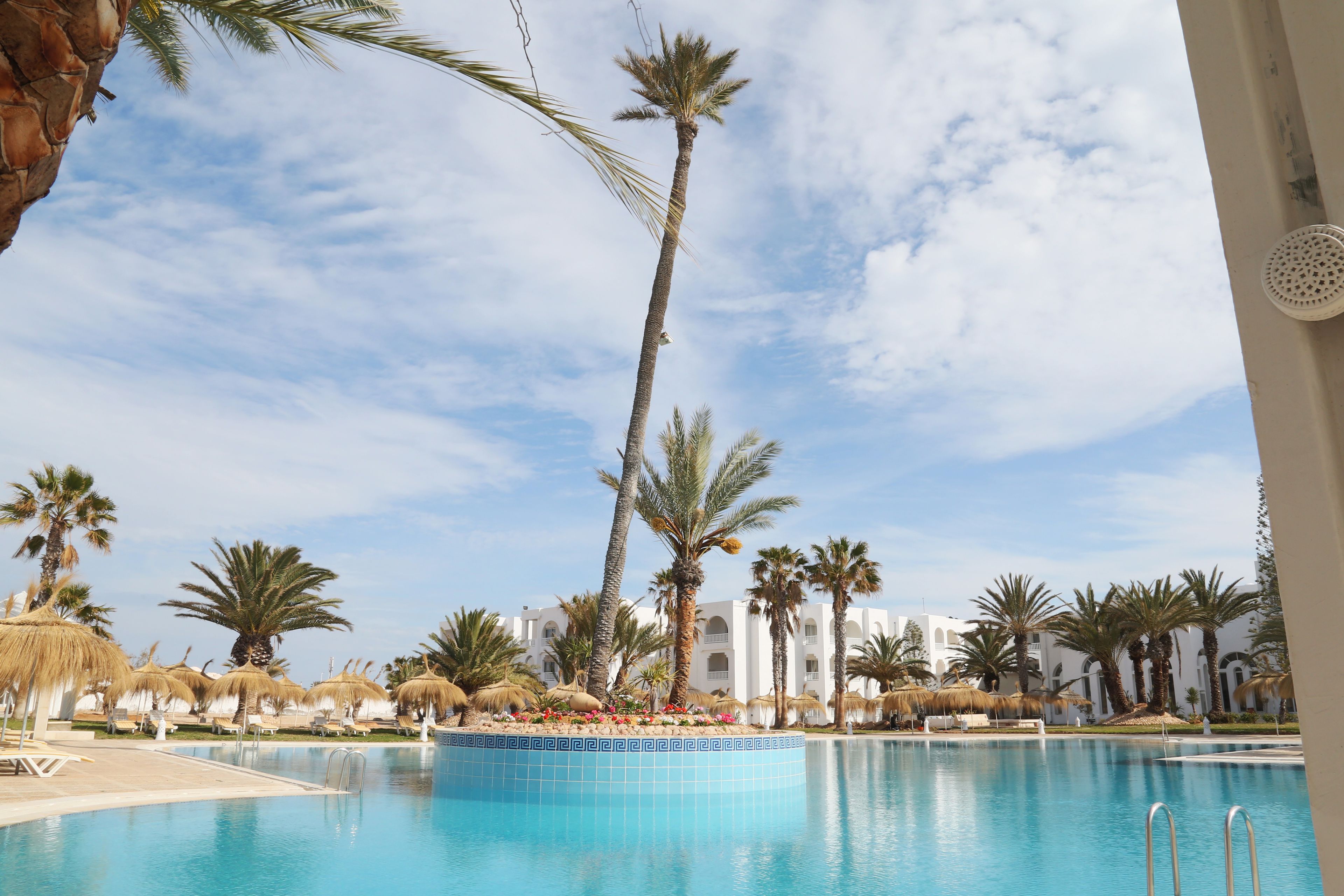 A swimming pool with palm trees and thatched umbrellas, surrounded by white buildings.