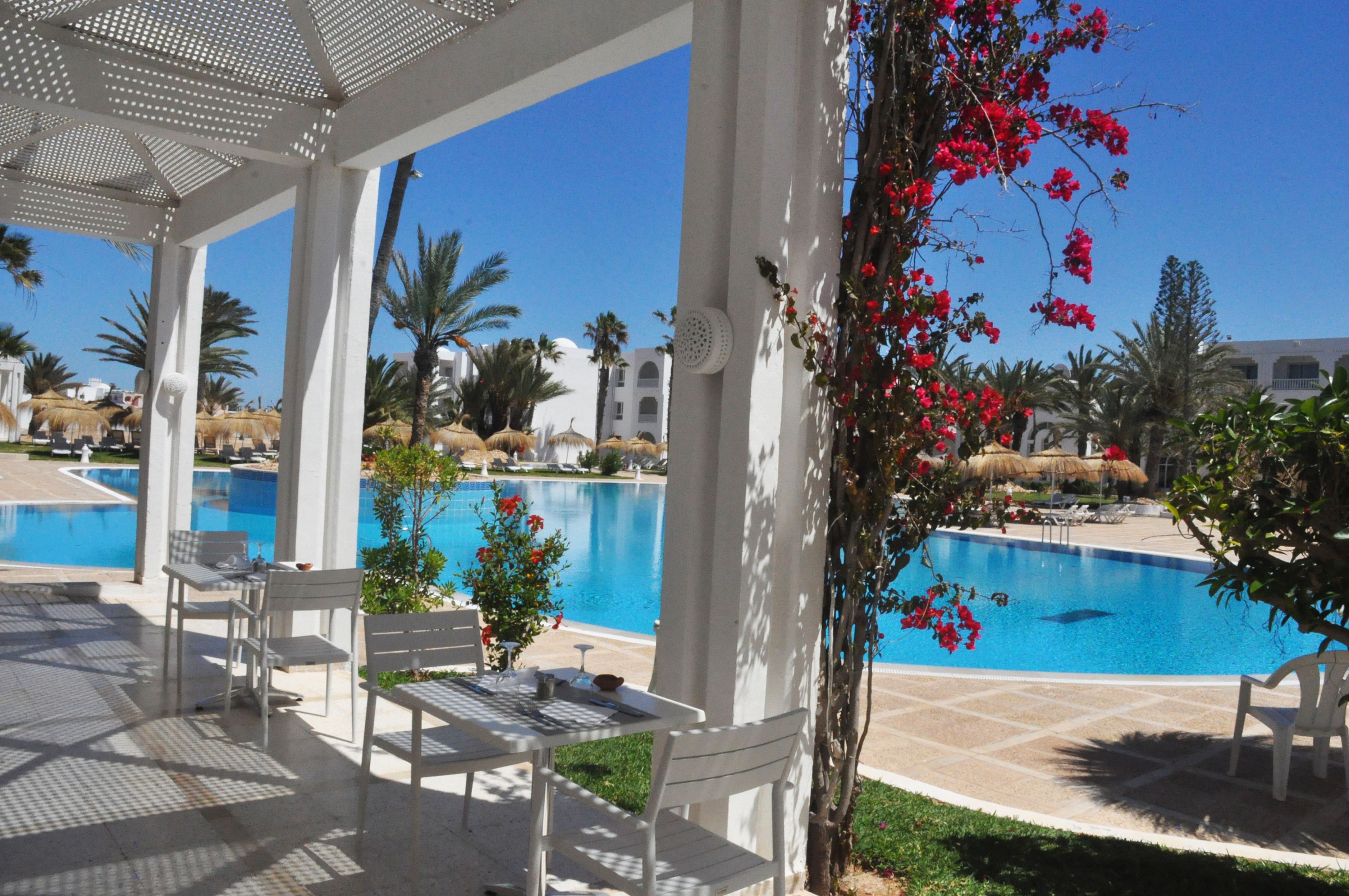 A poolside area with white chairs and tables, a clear blue pool, and palm trees in the background.