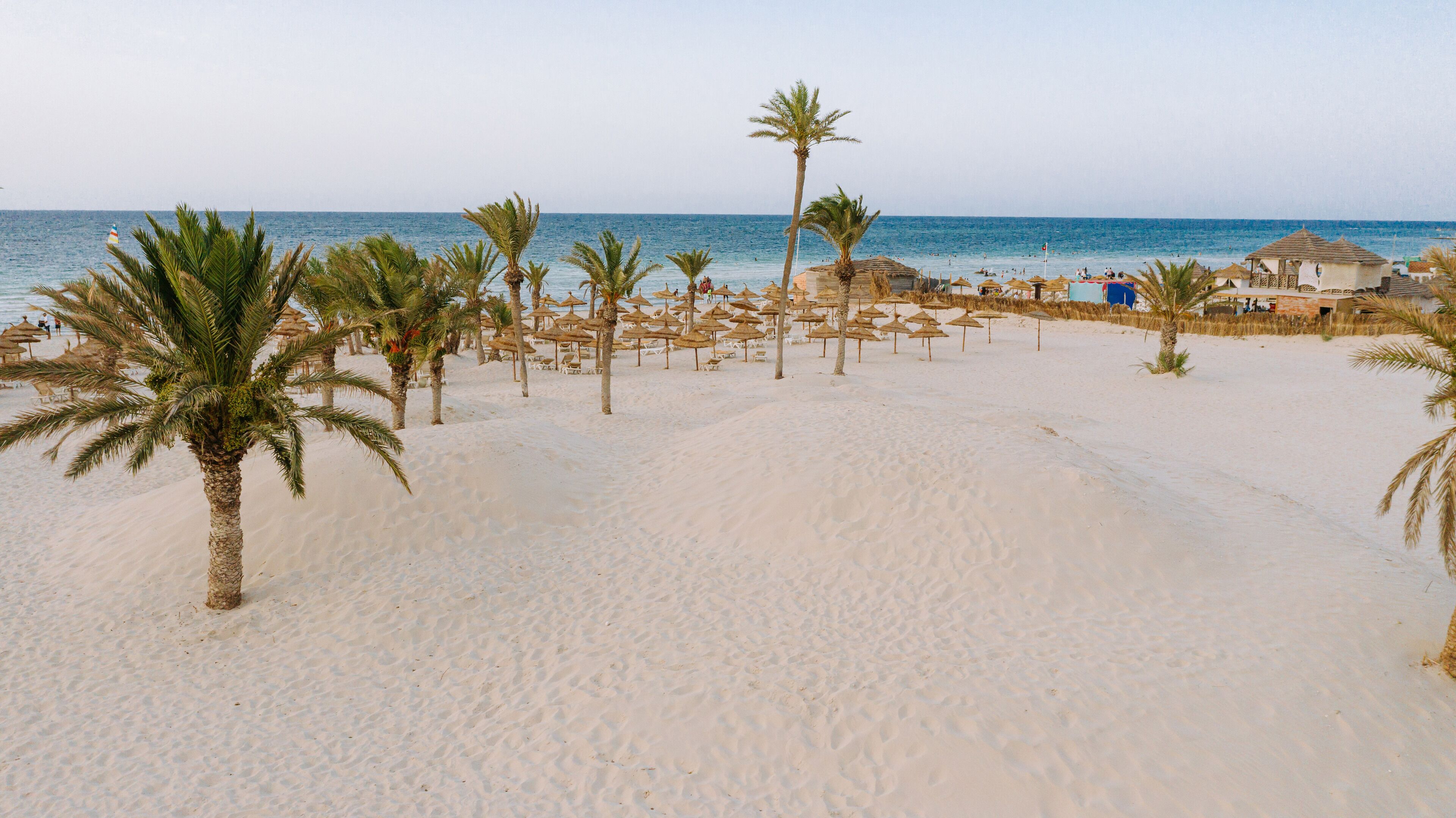 A beach with palm trees, umbrellas, and a few people.