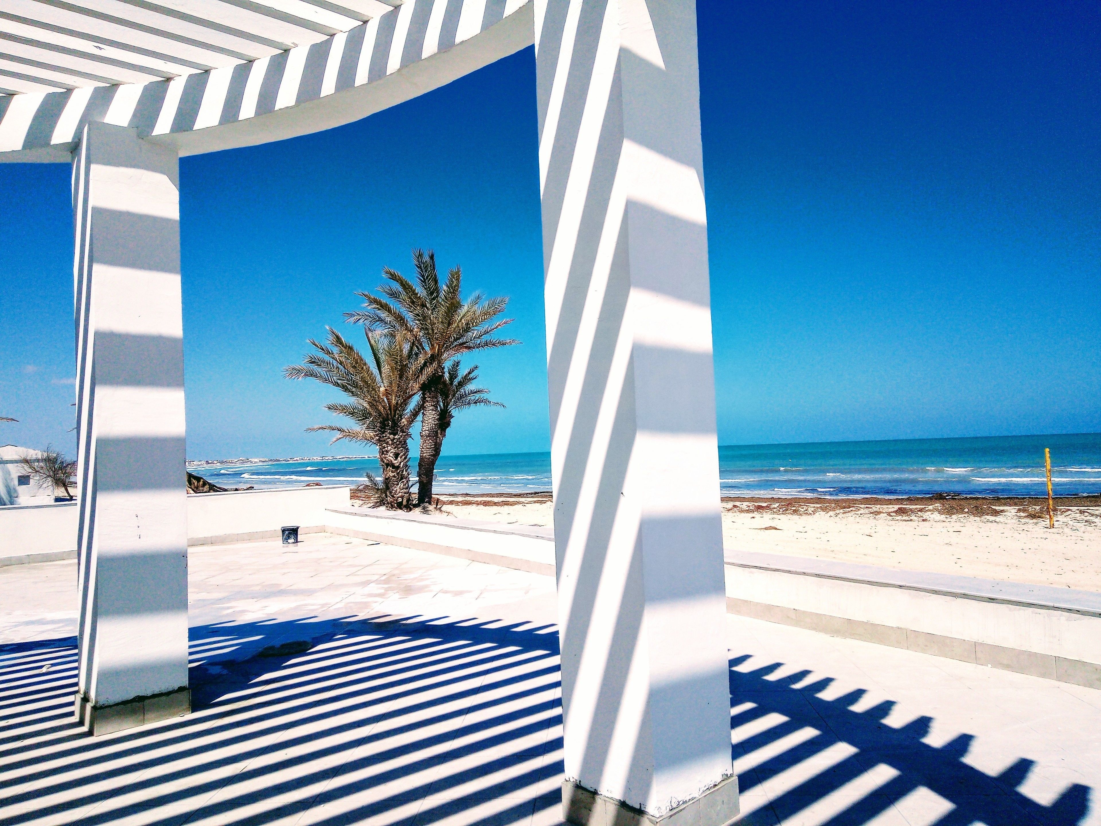 A beach view through a white structure with palm trees and the ocean in the background.