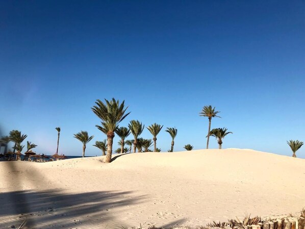 A sandy beach with palm trees and a clear blue sky.