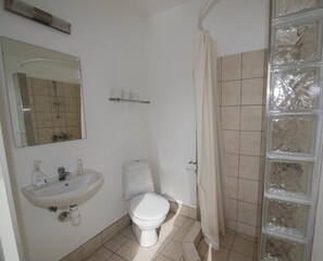 Habitación individual | Baño | Regadera, amenidades de baño gratuitas, toallas
