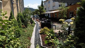 A courtyard with a cobblestone path, outdoor seating, and greenery.