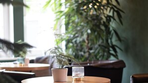 A cozy indoor setting with round wooden tables, a potted plant, and a large window allowing natural light.