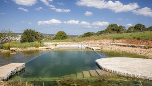 A clear outdoor swimming pool with stone edges, surrounded by greenery and trees under a blue sky with clouds. - F - Casa do Garibaldi in Quinta das Alagoas by DreamAlgarve (Lagos)