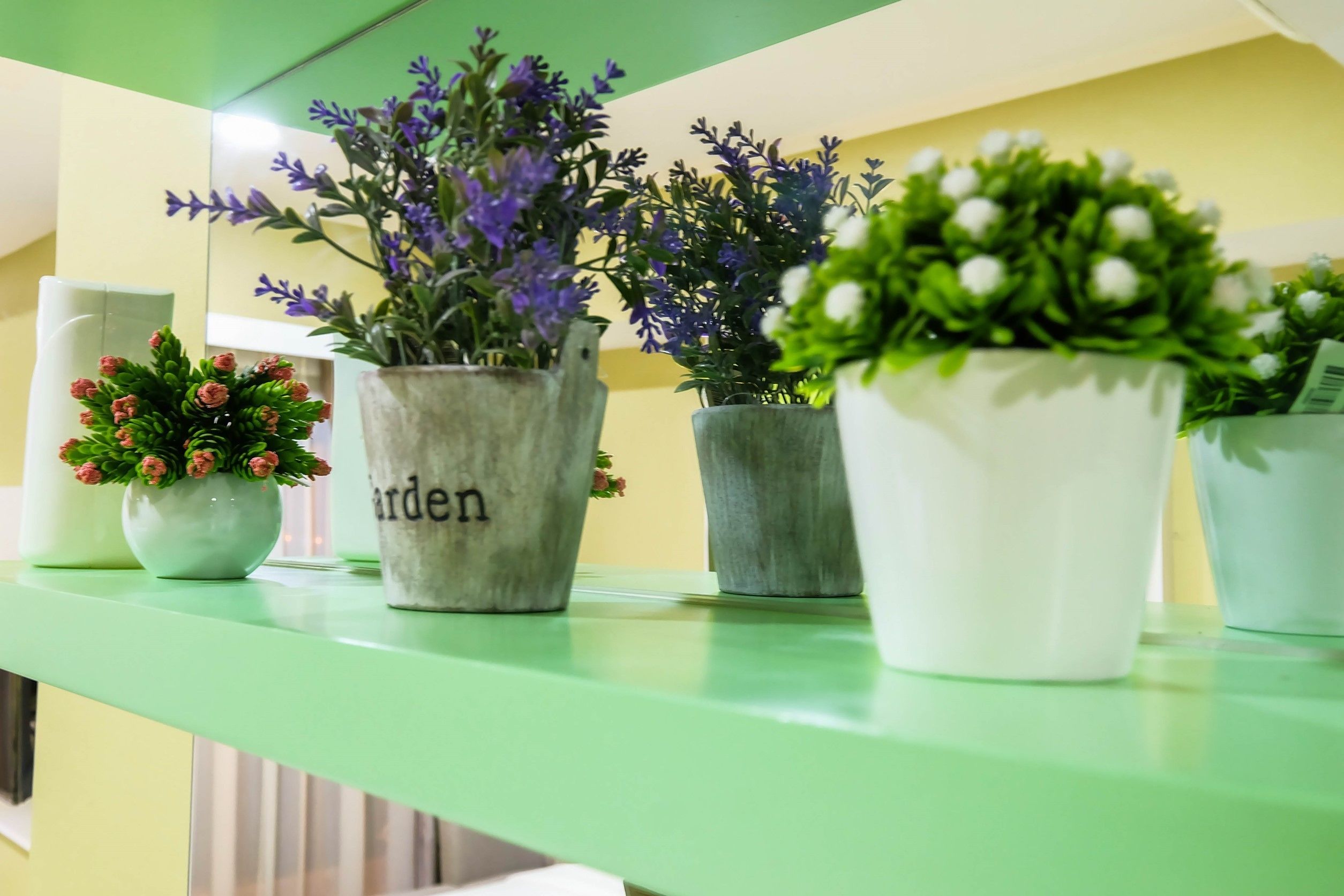 A green shelf with potted plants and a vase with the word "garden" on it.