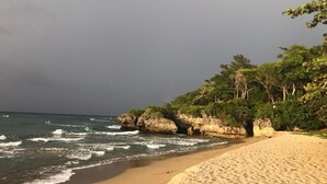 Une plage avec un rivage sablonneux, des vagues et un promontoire rocheux couvert de végétation.