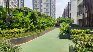 Un chemin bordé d’une végétation luxuriante et de bâtiments modernes.
