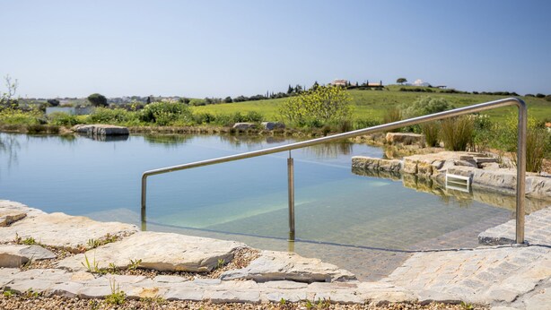 Piscina exterior luminosa con barandilla metálica, rodeada de baldosas de piedra y follaje.