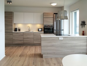 Apartment, 1 Bedroom, Accessible, City View | Private kitchen | Full-size fridge, microwave, oven, stovetop