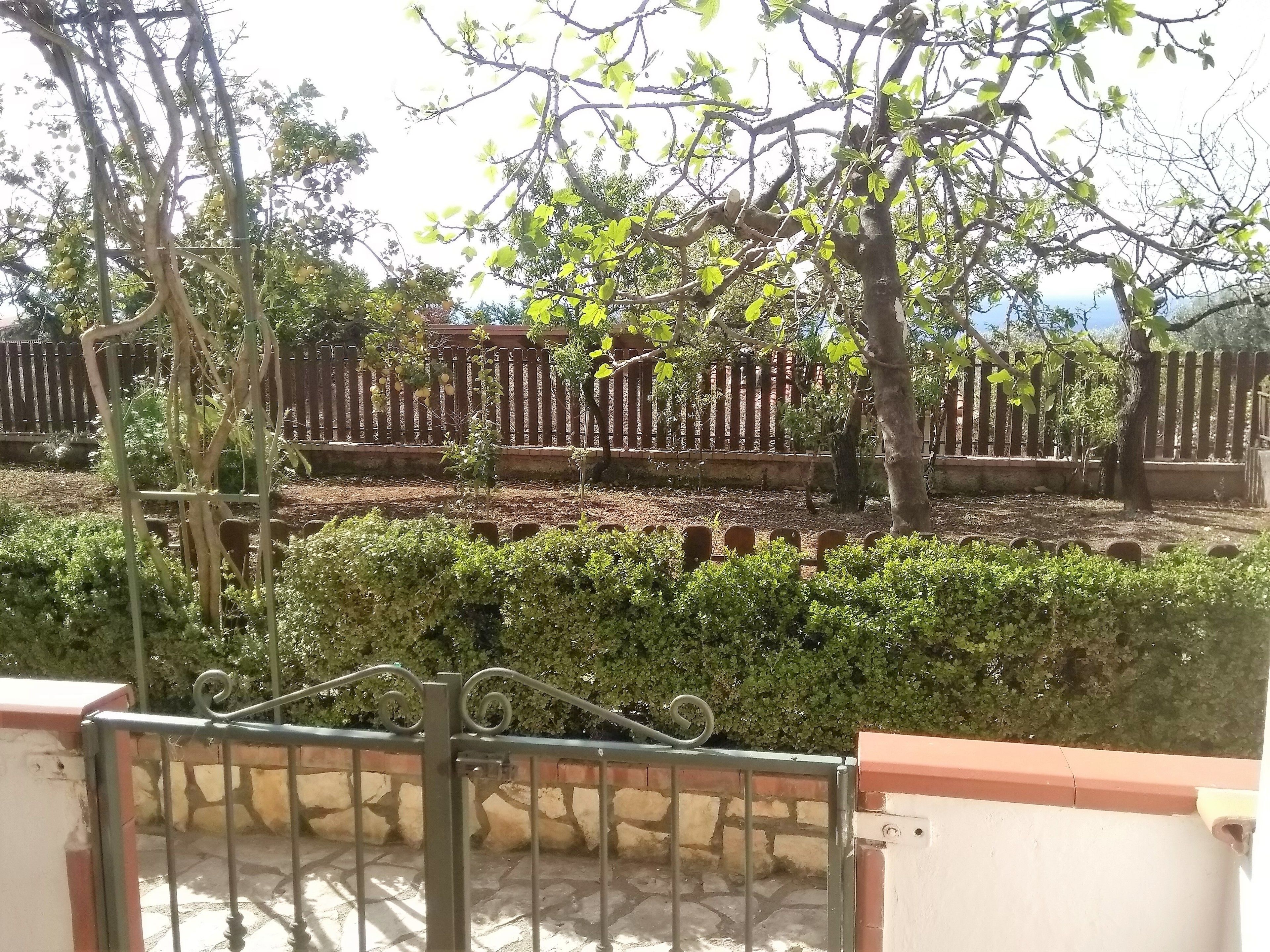 Un giardino con un cancello in metallo, alberi e una recinzione in legno.