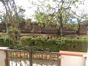 Property entrance - B&B Il Nido (Camerota)