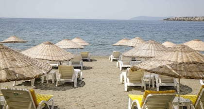 Teos Ormanci Tatil Koyu
