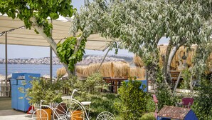 Un'area patio con una bicicletta, piante in vaso e una piccola struttura blu, con vista su una località costiera.