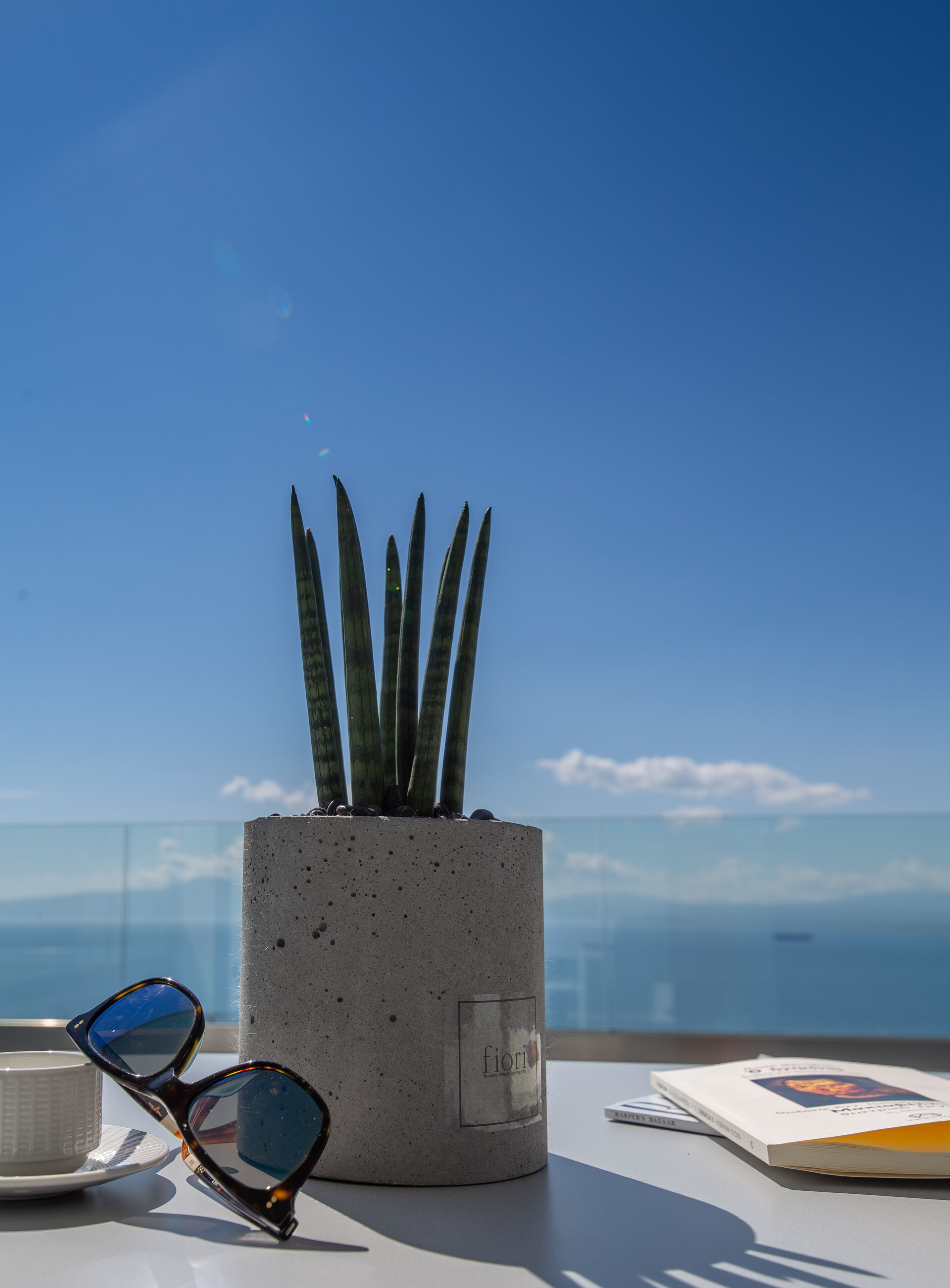 A concrete planter with a plant, a pair of sunglasses, and a book on a table with a clear view of the ocean.