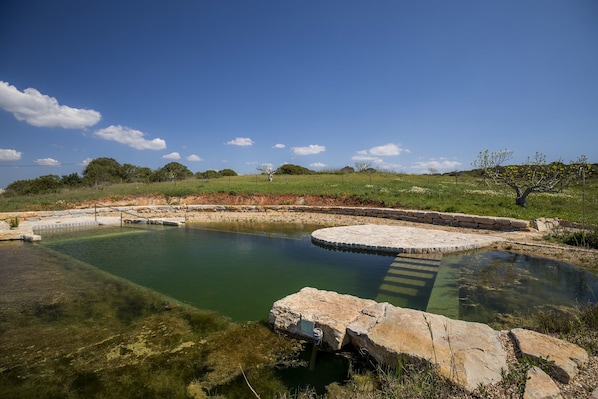 Natural pool