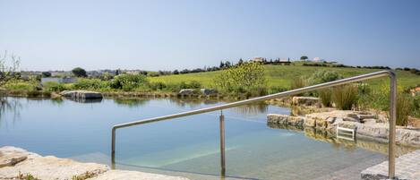 Naturlig pool