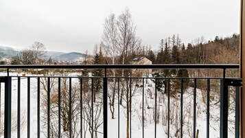 Apartment (28) | Laptop workspace, iron/ironing board, free WiFi, bed sheets