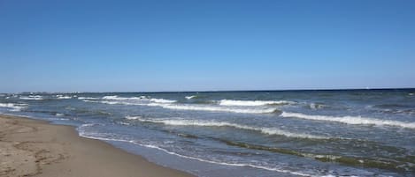 Plage à proximité