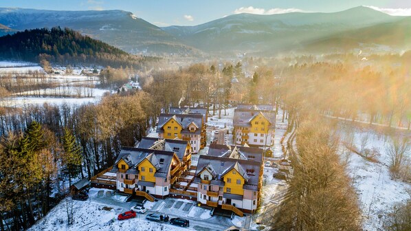 Un ensemble de maisons traditionnelles en bois, dotées de balcons, entourées de champs et d’arbres recouverts de neige, avec des montagnes en arrière-plan.