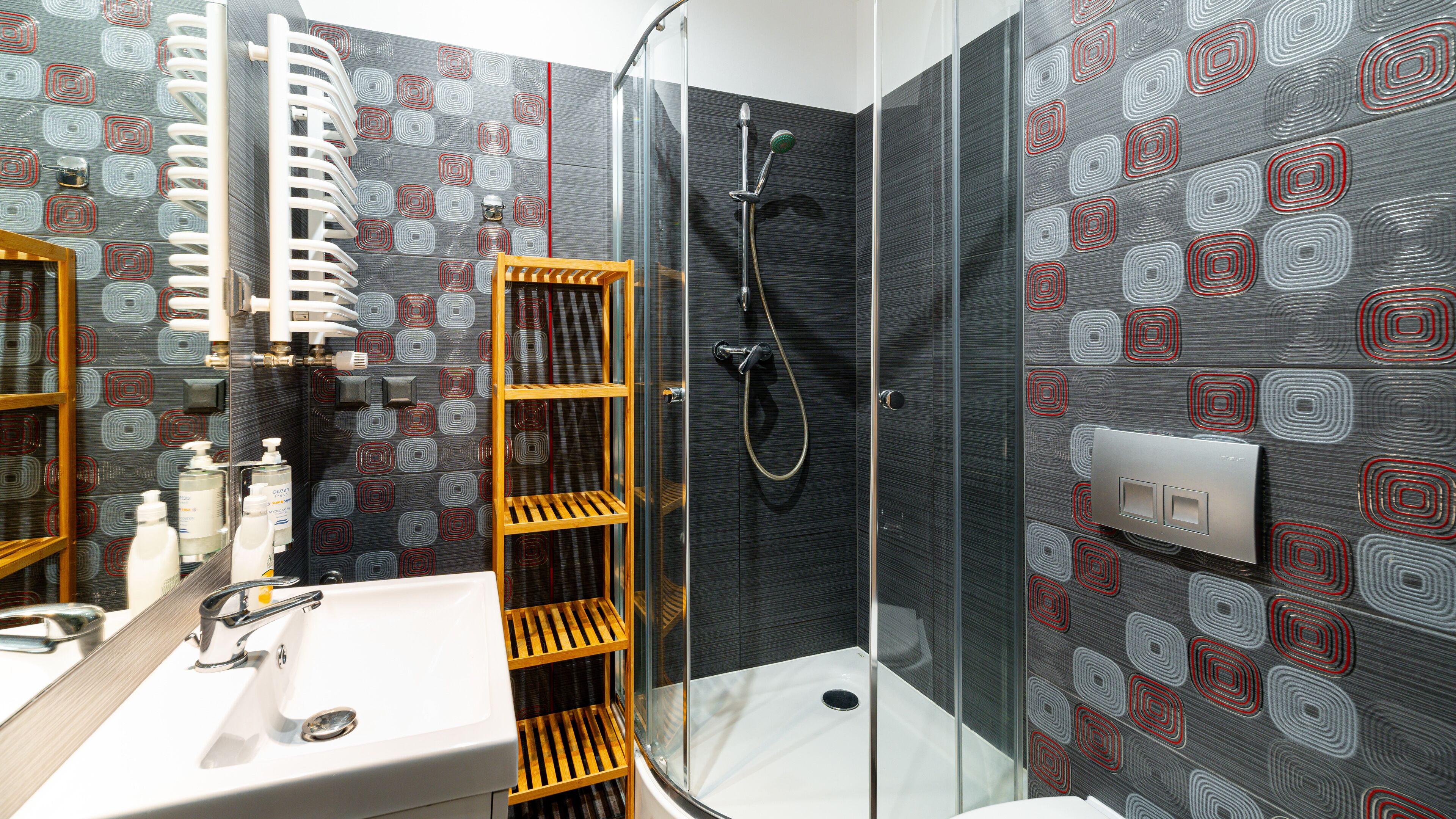 Monolocale (3/11) | Bagno | Doccia, asciugamani, carta igienica