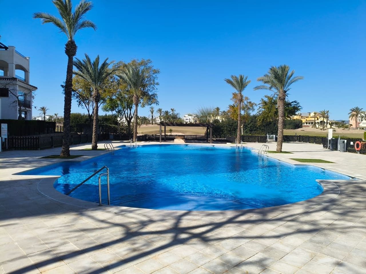 A swimming pool with a clear blue water, surrounded by palm trees and a paved walkway.