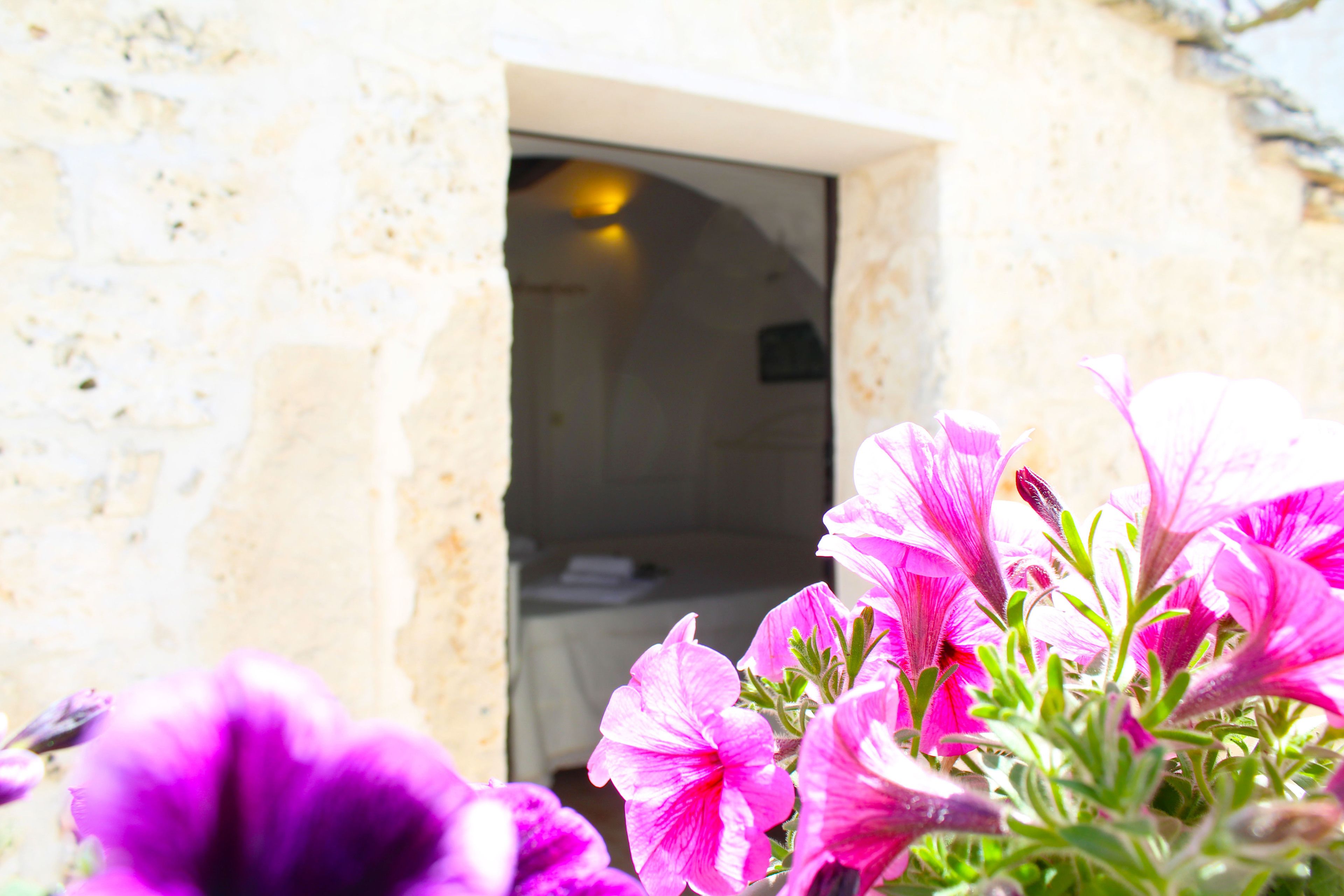 Superior-Suite (Trullo) | Ausblick vom Zimmer