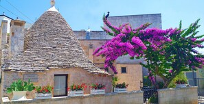 A stone building with a conical roof, a sign reading "TRULLI ANTICA FONTE Suite 1", and a vibrant bougainvillea tree. - Trulli Antica Fonte (Alberobello)