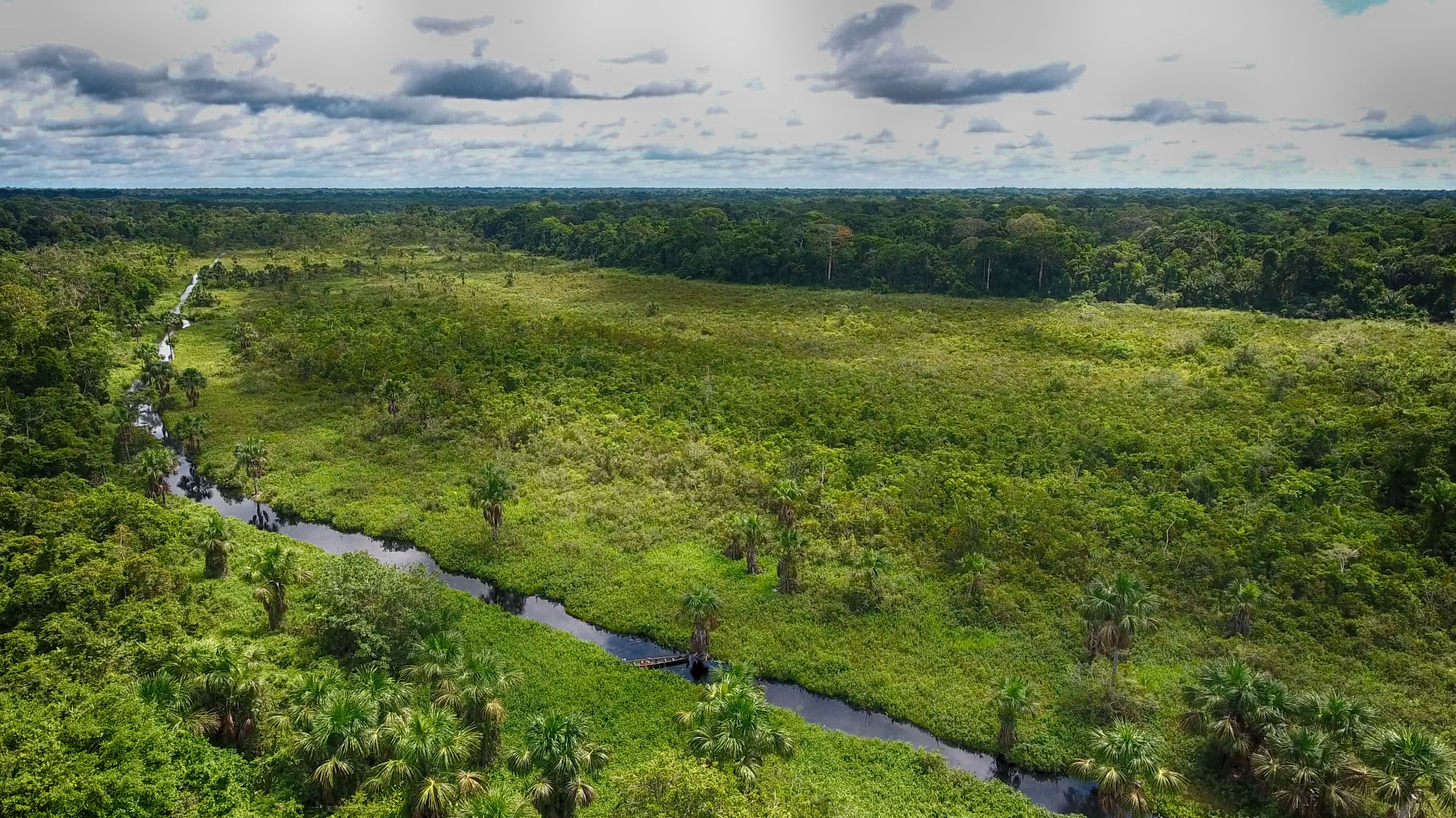 Un río serpentea por un paisaje verde y denso, con árboles dispersos.
