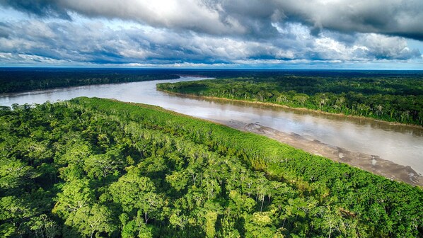 A river winding through a dense forest with a cloudy sky above.