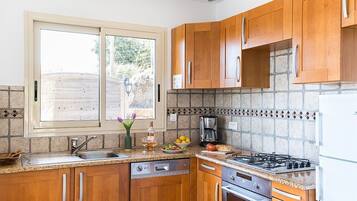 Comfort villa, 2 slaapkamers, uitzicht op zee | Privékeuken | Een koelkast, een microgolfoven, een oven, een kookplaat