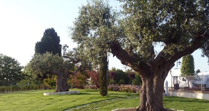 Postiglione Country House