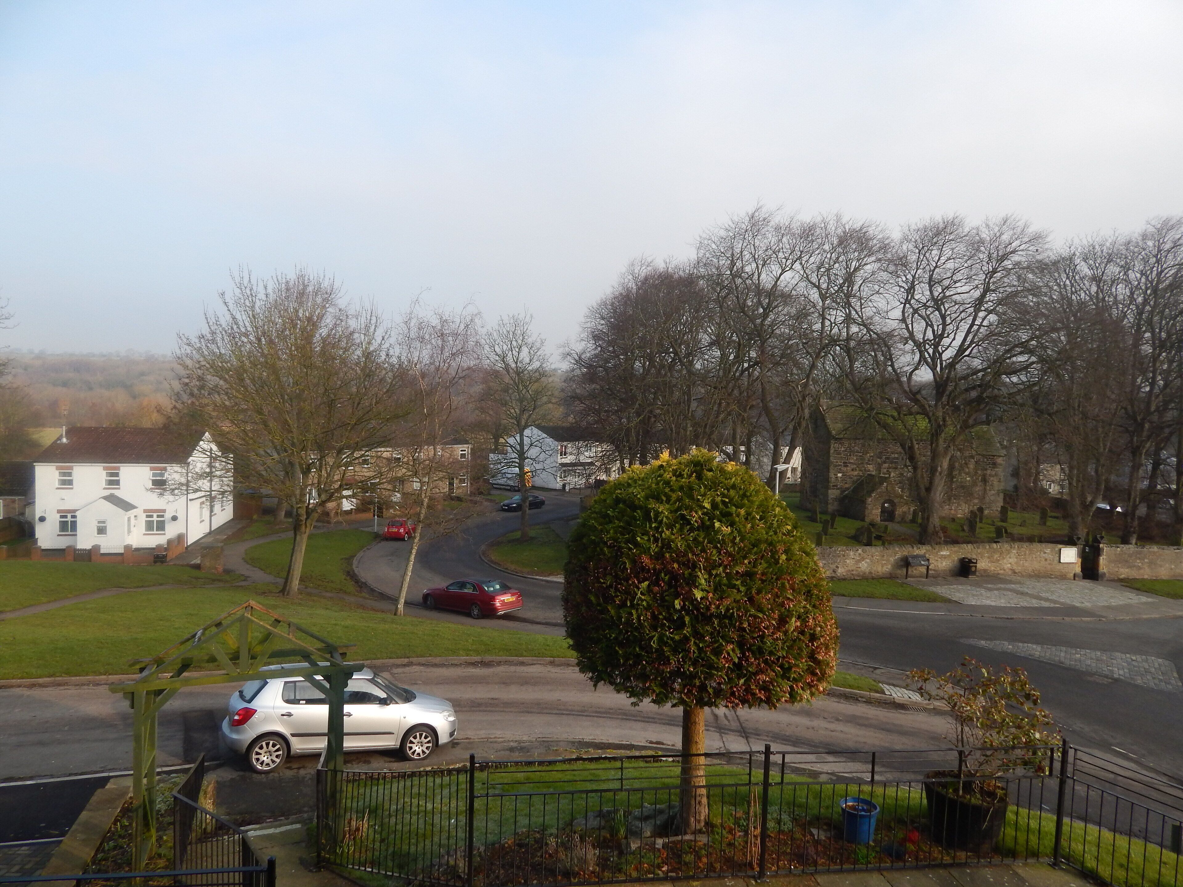 A residential street with houses, a roundabout, and a tree in the foreground.