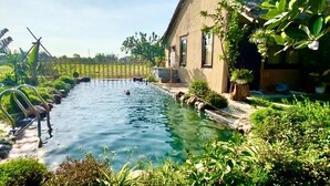 A swimming pool with a thatched-roof building adjacent to it, surrounded by lush greenery and a fence.