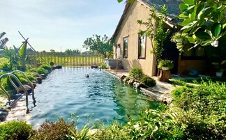 Indoor pool, sun loungers